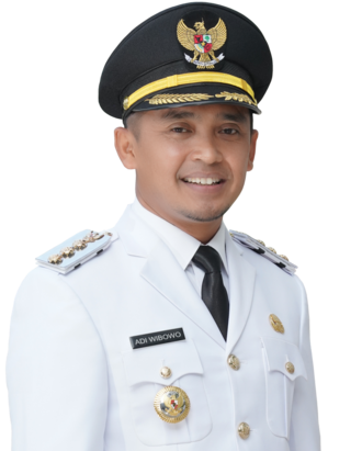 Adi Wibowo