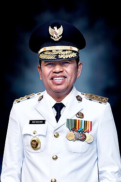Dedi Mulyadi