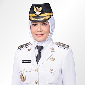 Ir. Wa Ode Hamsinah Bolu