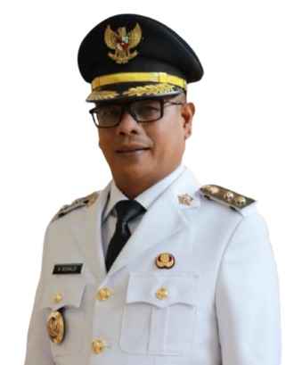 Risnaldi Ibrahim