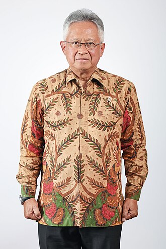 Satryo Soemantri Brodjonegoro